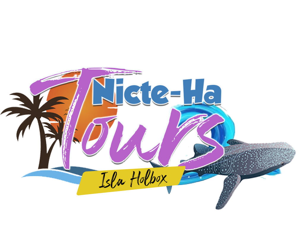 Nicte-Ha Tours